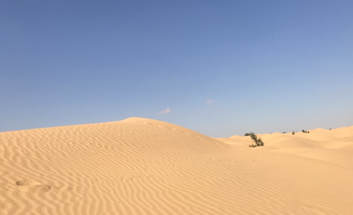 You are currently viewing Driving in the dunes, oasis, Camp Abdelmoula