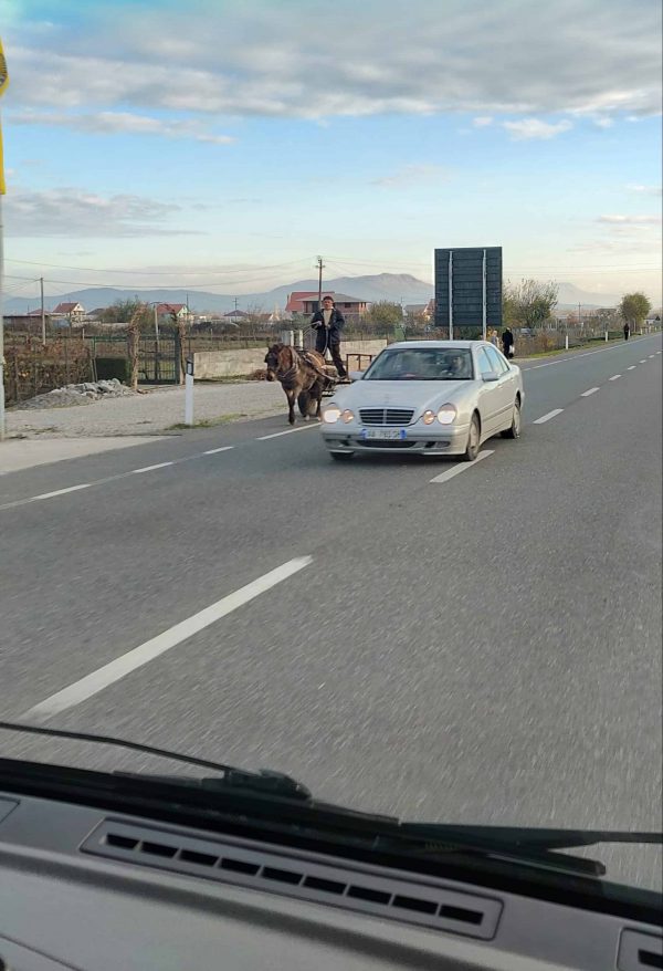 Horse and cart and Mercedes